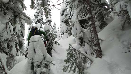 This is that steep and bushy part