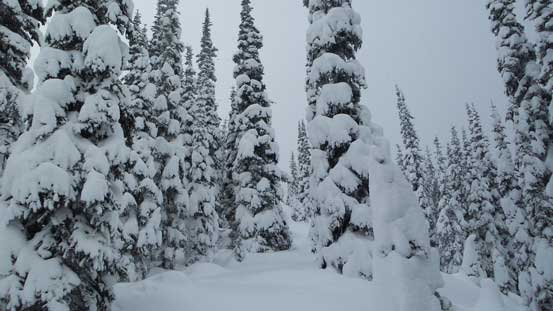 Typical terrain along the ridge