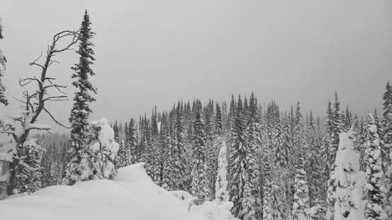 The true summit ahead