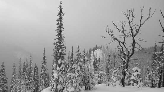 As far as the summit views go