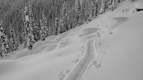 Time to ski down this boulder field