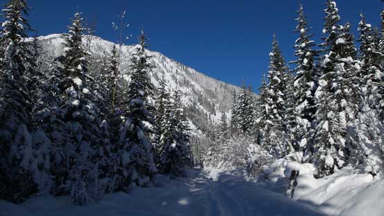 Back to the logging road