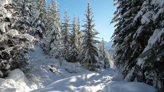 A bit of slog here as it wasn't steep enough... 