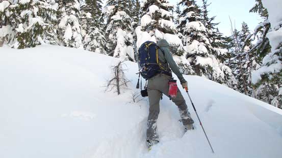 Heavy duty trail-breaking thank to all the fresh snow