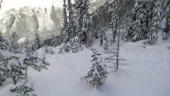 Almost time to enter the trees... Not much fun lower down