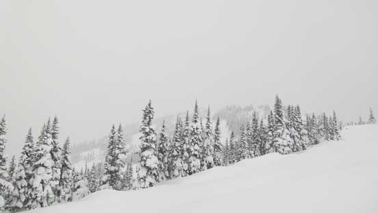The actual ascent of Whisky Peak from the col was pretty easy