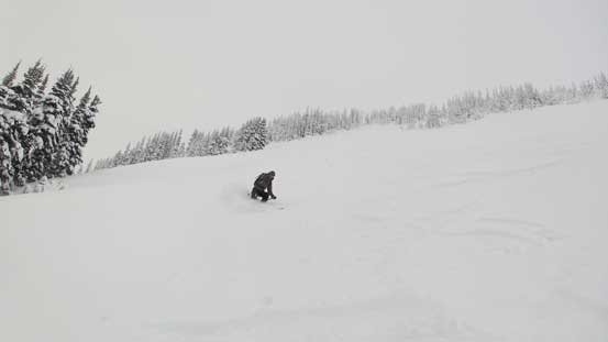 Alan enjoying his run. 
