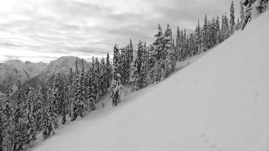 One of the many steep slopes that we traversed across