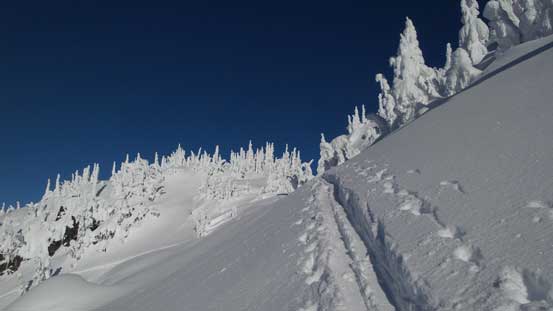 Following our skin tracks back