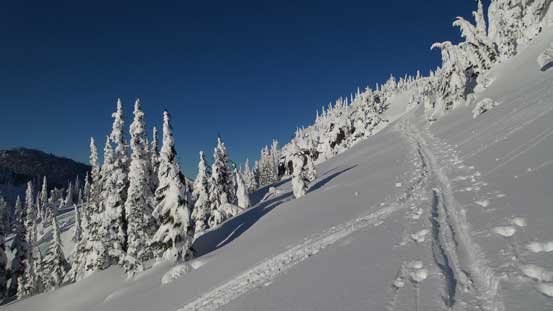 Following our skin tracks