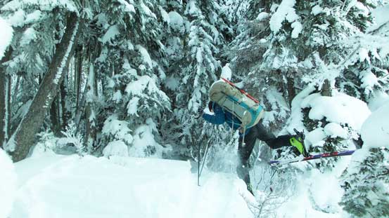 Time for some bush thrash... 