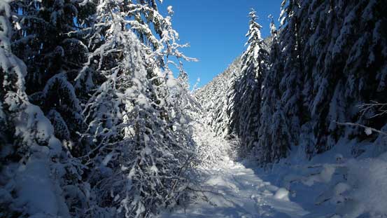 Lower down it's getting better