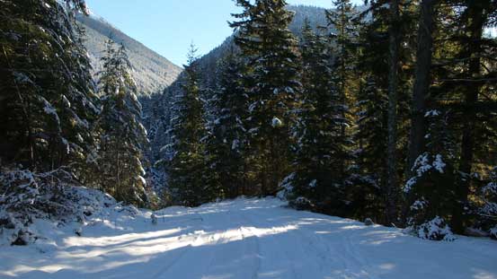 Back to Phacelia Creek FSR. Done! 