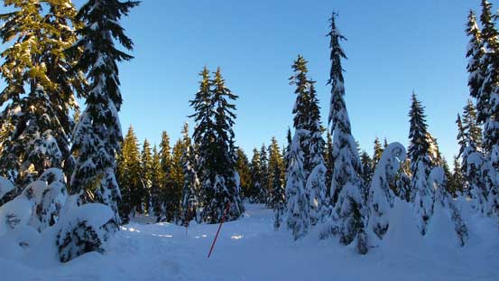 A crystal clear morning. Perfect to be out in the hills