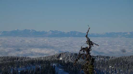 Too lazy to figure out the names of those peaks on Vancouver Island