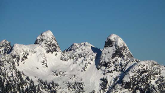 A closer look at the Lions - both bagged last year