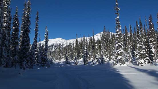 The ski out along Cerise Creek