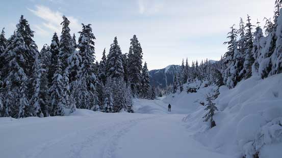 Road slog in the morning