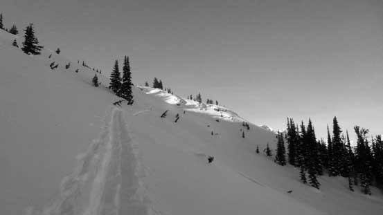 Following the skin tracks up