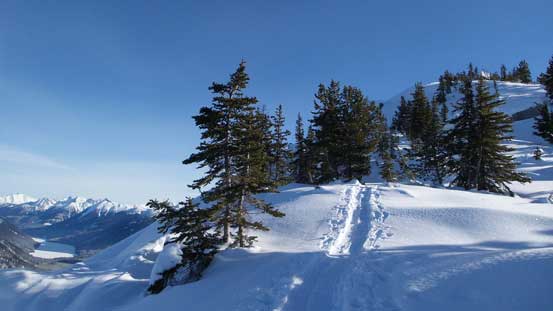 The skin tracks continued up