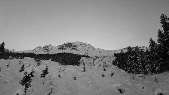 This avalanche path offered a run avoiding the forest