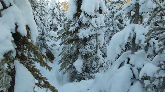 Still a bit of bush skiing near the end. 