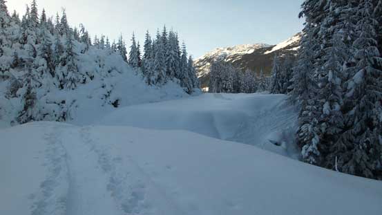 Ditches, ditches, ditches,....,...