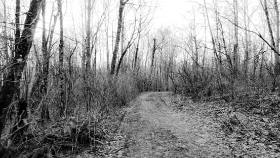 The typical road view