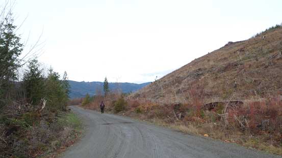 It's as simple as following this road up...