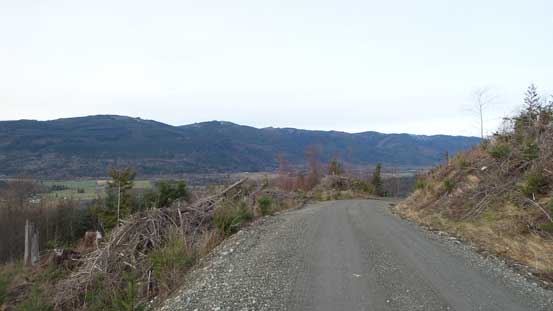 Looking back along the road