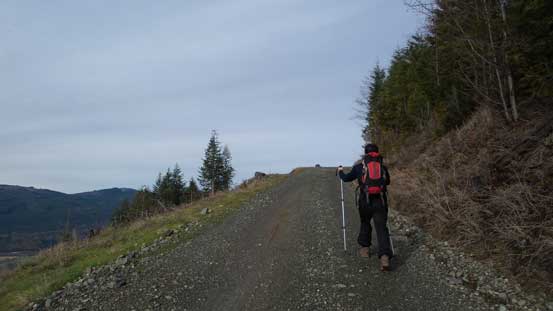 The road walk continues 