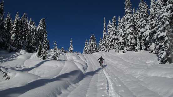 Onto the cat ski company's road