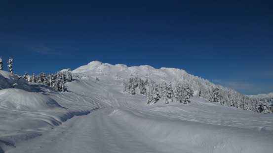 Finally arrived at the alpine