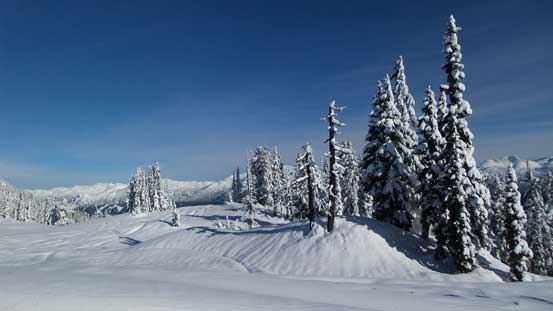 Reaching treeline, the views opened up