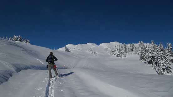 Alex leading the way