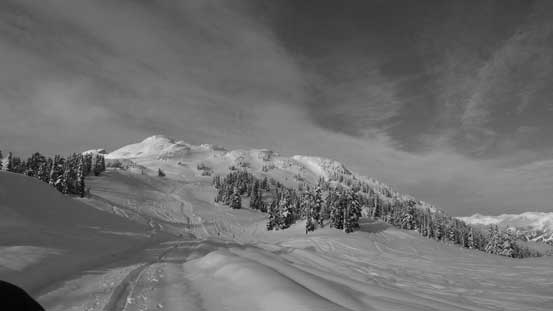 Back to treeline, looking back