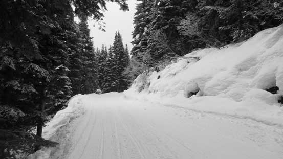 Plodding up the groomed road