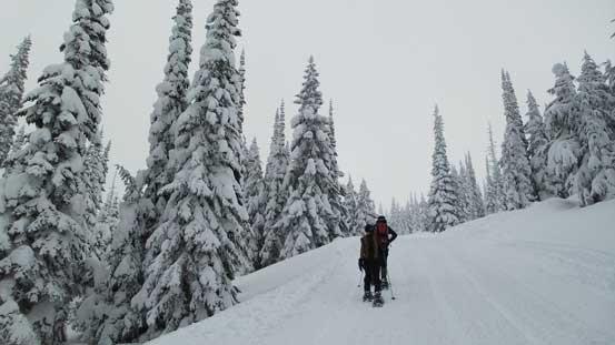 Typical, typical....