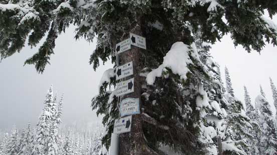 The trails are very well signed.