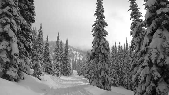 Now we were taking this narrower road