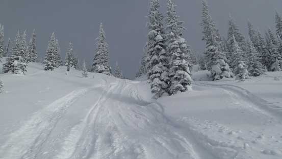 Following the snowmobiler's tracks was easy