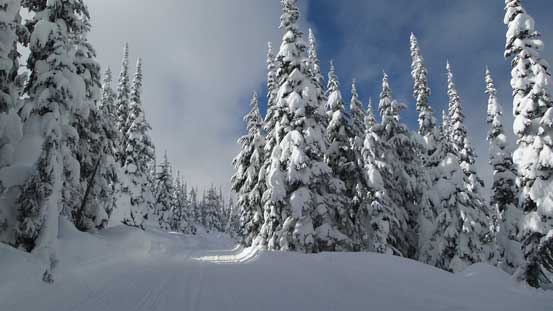 Back to the road and the sun was coming out