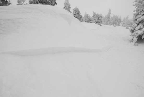 One wind-loaded zone and apparently the new snow didn't bond well...