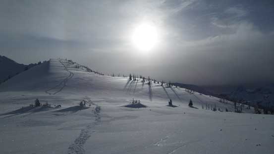 Looking back at my tracks