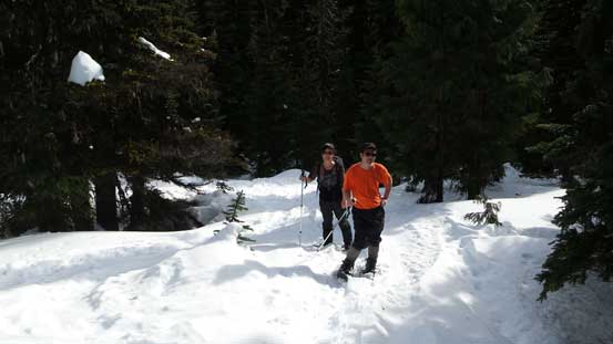 The typical forested ascent