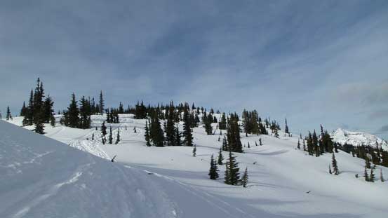 The terrain started to open up