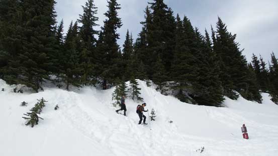 Down to the road/cut block