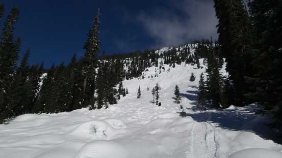 The road crosses an impressive avalanche path at one point