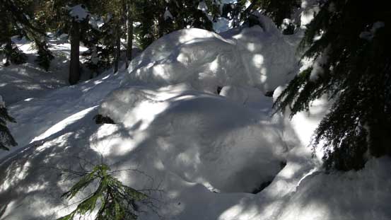 Lots and lots of snow in the forest