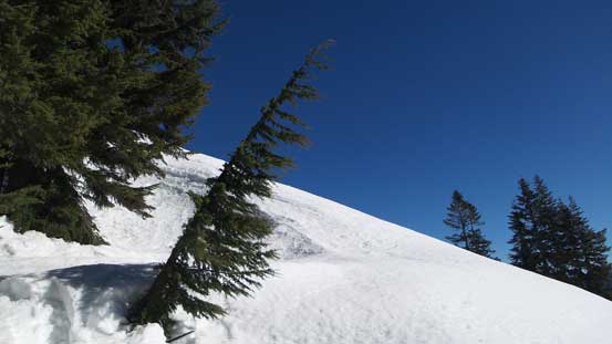 Onto the open ridge section